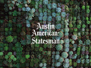 Beautiful succulent wall with the text 'Austin American-Statesman' featured in the center, showcasing green hues.
